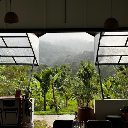 Bendheka - Cliff Front Cottages Coorg Gonikoppal Exterior foto